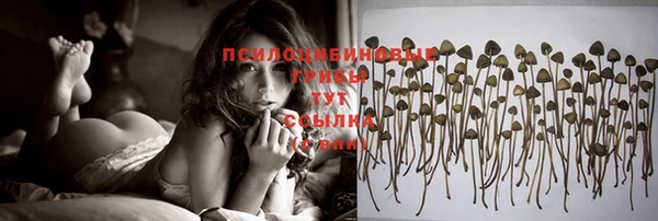 гидра Михайлов