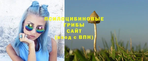 гидра Михайлов