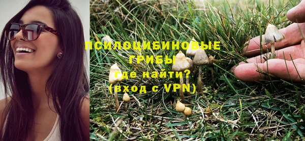 гидра Михайлов