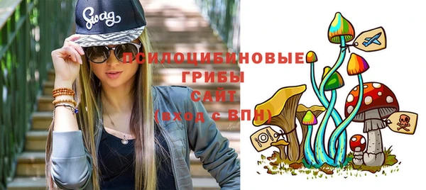 2c-b Михайловск